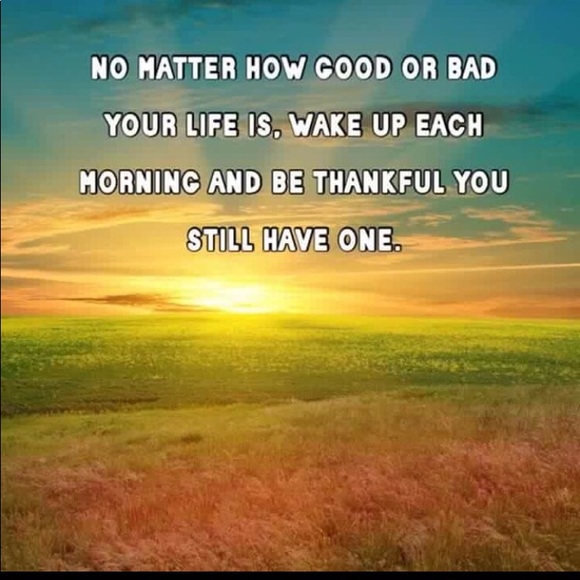 Meet your Posher, Jake & GG - Picture 2 of 4